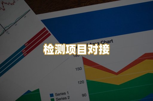 检测项目对接