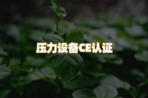 压力设备CE认证